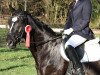 dressage horse Lion Ferro (Hanoverian, 2003, from Likoto xx)