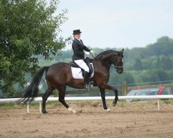 dressage horse Latisana 3 (Westphalian, 2009, from Locksley II)