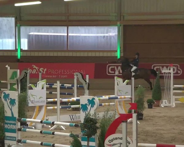 Reitturnier Kaldenkirchen - Gestüt Seehof 2020