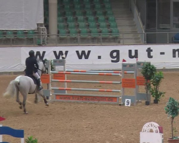 Reitturnier Kreuth/Opf. 2020