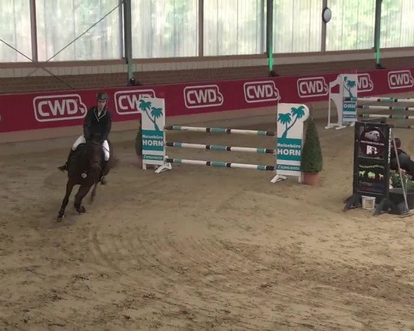 Reitturnier Kaldenkirchen - Gestüt Seehof 2020