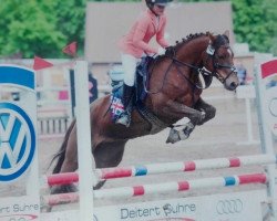 jumper Gladis 29 (Connemara Pony, 2008)