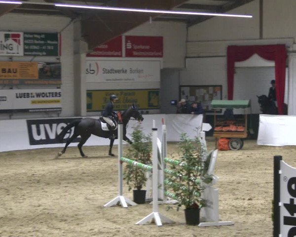 Reitturnier Borken 2020