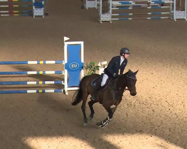 Reitturnier Kreuth/Opf. 2020