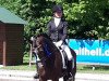 dressage horse Dante R (German Riding Pony, 2009, from Proud Doug)