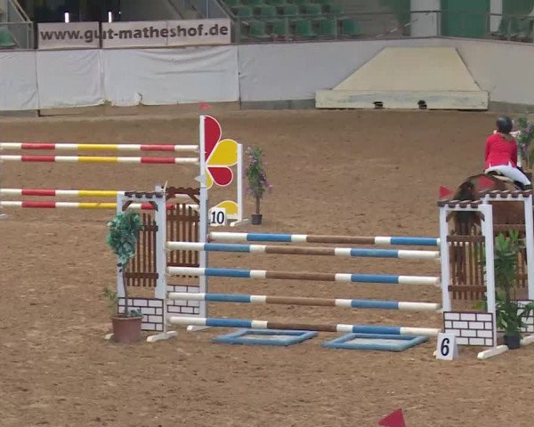 Reitturnier Kreuth/Opf. 2020