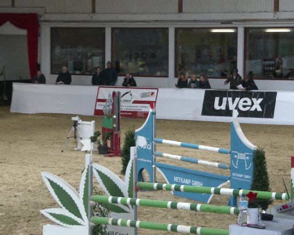 Reitturnier Borken 2020
