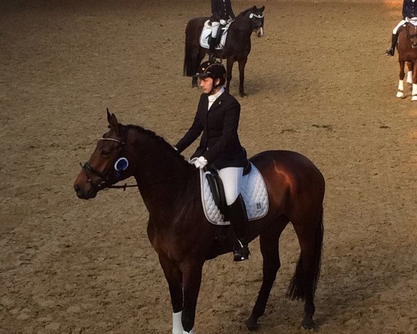 dressage horse Enna 7 (Westphalian, 2010, from Expansion)