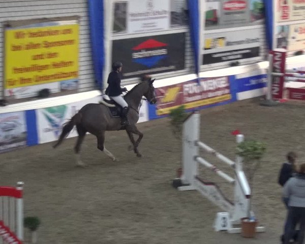 Reitturnier Lathen 2020