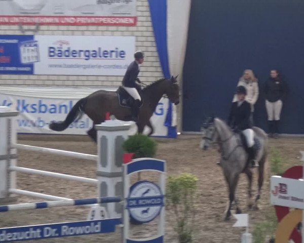 Reitturnier Lathen 2020
