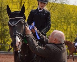 jumper J'adore 7 (German Sport Horse, 2007, from Catoki)