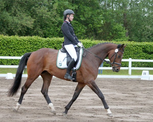 dressage horse Santosha 2 (Hanoverian, 2010, from Scolari)