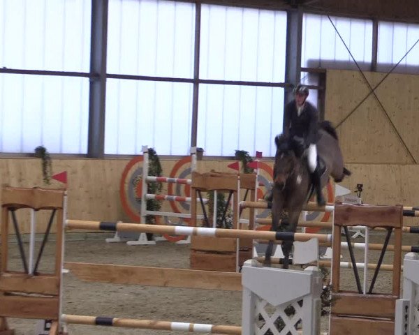 FEI Reitturnier Damme-Neuenwalde (GER) 2020