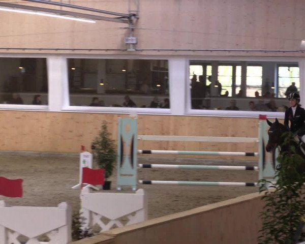 FEI Reitturnier Damme-Neuenwalde (GER) 2020