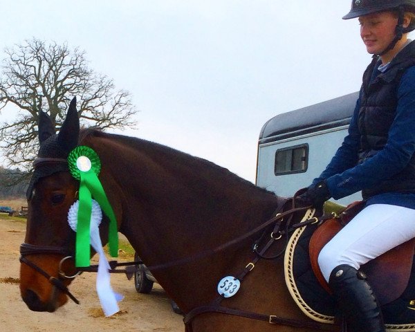 jumper Caron (Oldenburg show jumper, 2003, from Colander)