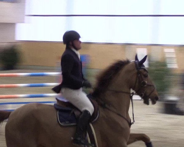 FEI Reitturnier Damme-Neuenwalde (GER) 2020