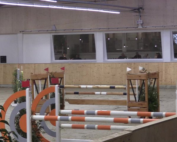 FEI Reitturnier Damme-Neuenwalde (GER) 2020
