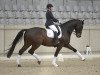 dressage horse Giro F (Hanoverian, 2005, from Goethe)