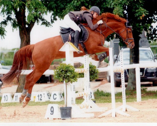 jumper Rosie 15 (Westphalian, 2004, from Rosenkoenig)