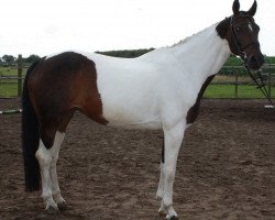 broodmare Celina 149 (Trakehner, 2004, from Pret a Porter)