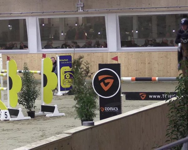 FEI Reitturnier Damme-Neuenwalde (GER) 2020