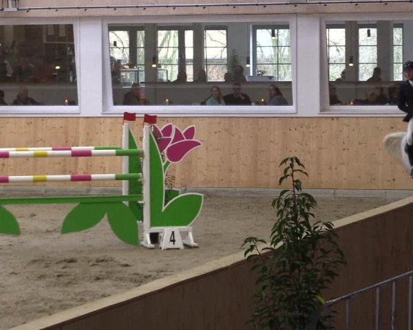 FEI Reitturnier Damme-Neuenwalde (GER) 2020