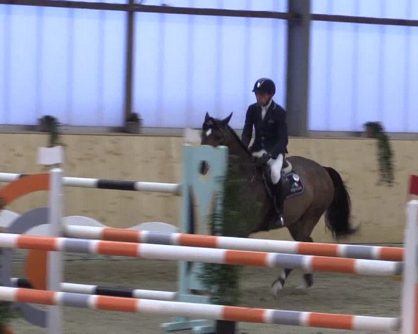 FEI Reitturnier Damme-Neuenwalde (GER) 2020
