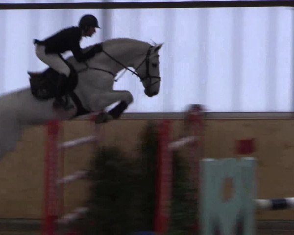 FEI Reitturnier Damme-Neuenwalde (GER) 2020