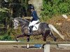 jumper Catalina 42 (Oldenburg show jumper, 2011, from Clinton H)