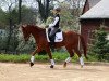 jumper Giotto (German Warmblood, 2008, from Grandel)