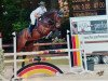 jumper Connar 2 (Oldenburg show jumper, 2011, from Cador 5)