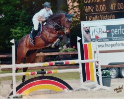 jumper Connar 2 (Oldenburg show jumper, 2011, from Cador 5)