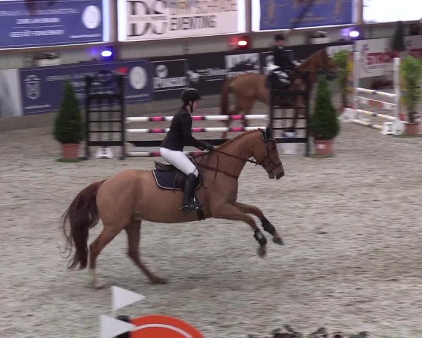 Nordic Jumping events 2020