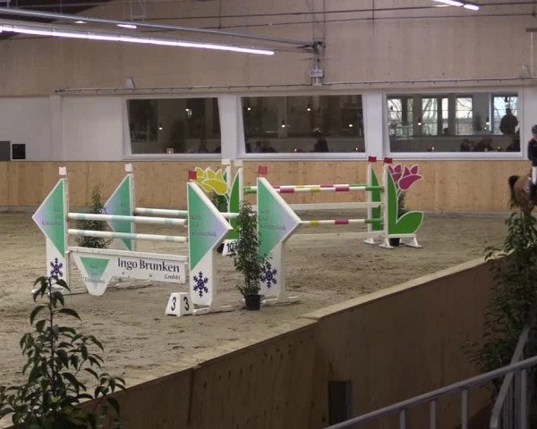 FEI Reitturnier Damme-Neuenwalde (GER) 2020