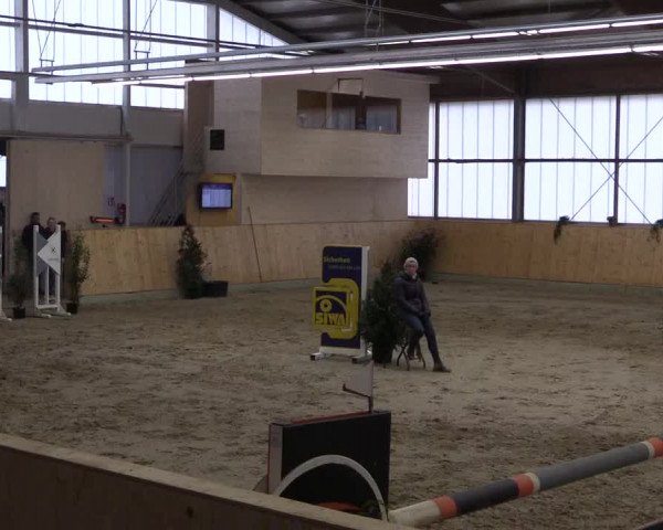 FEI Reitturnier Damme-Neuenwalde (GER) 2020