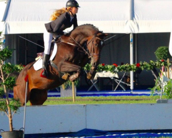 Pferd Bickel (KWPN (Niederländisches Warmblut), 2006, von Heartbreaker)