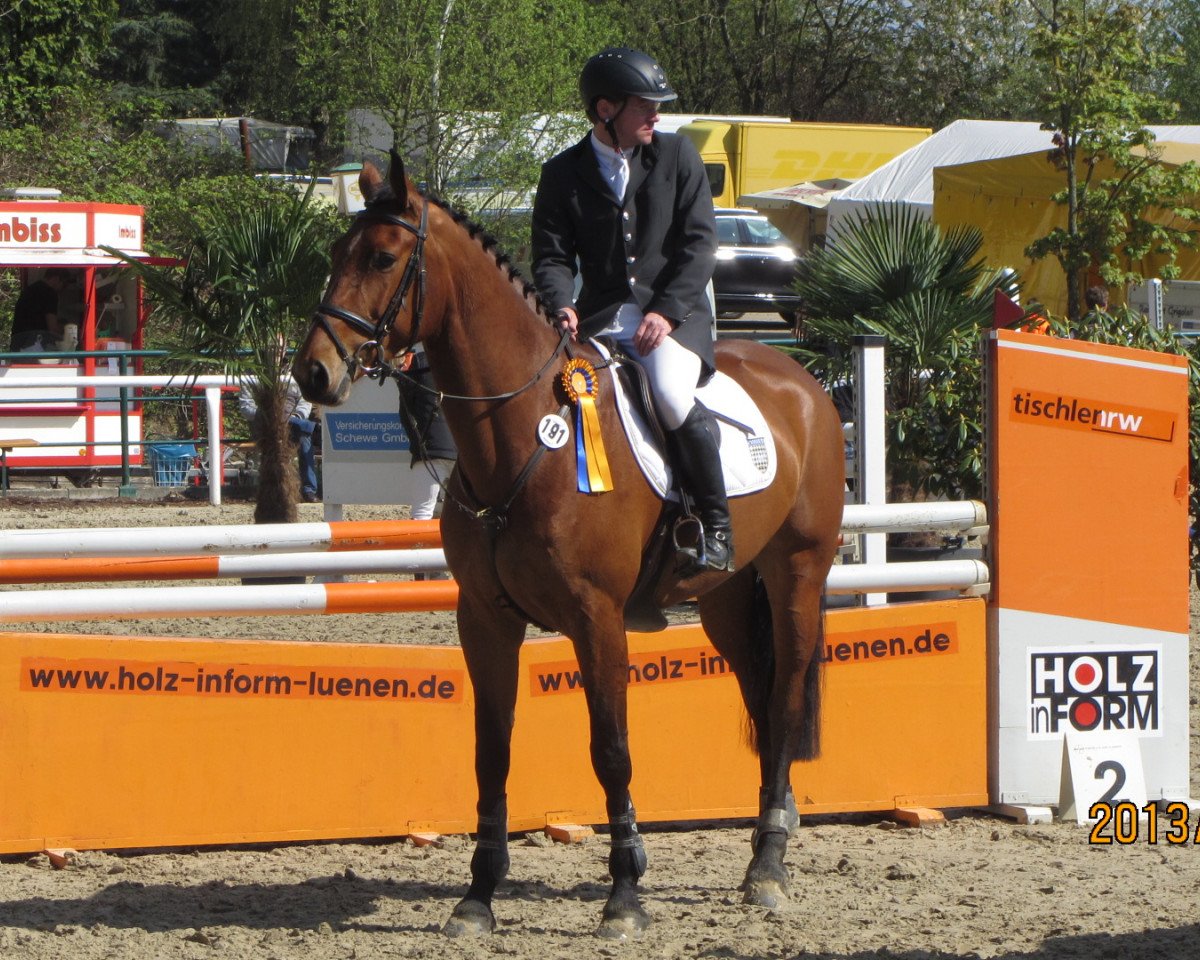 jumper Cocco Blue (Westphalian, 2008, from Chacco-Blue)