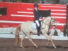 dressage horse Pegasus B (German Riding Pony, 2001, from Pan Tau)