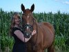 dressage horse Raissa S (Hanoverian, 2008, from Rascalino)