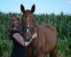 dressage horse Raissa S (Hanoverian, 2008, from Rascalino)