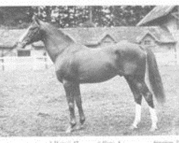 stallion Quai d'Orsay xx (Thoroughbred, 1931, from Town Guard xx)