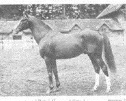 stallion Quai d'Orsay xx (Thoroughbred, 1931, from Town Guard xx)