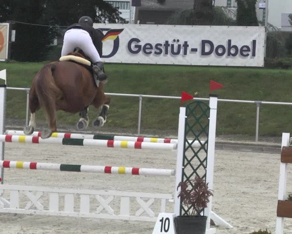 Reitturnier Durmersheim-Hardt 2021