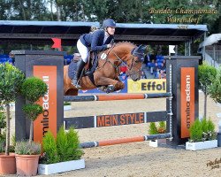 jumper Gogo M (German Riding Pony, 2009, from Golden Leroy)