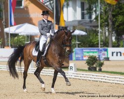 dressage horse Rostropowitsch NRW (Westphalian, 2002, from Rockwell)