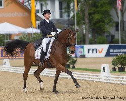 dressage horse Wito Corleone 2 (Hanoverian, 1999, from Wolkentanz I)