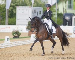 dressage horse Zircoon Spring Flower (KWPN (Royal Dutch Sporthorse), 2004, from Painted Black)