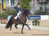 dressage horse Witschge (KWPN (Royal Dutch Sporthorse), 2003, from Ferro)