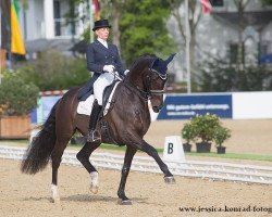 dressage horse Witschge (KWPN (Royal Dutch Sporthorse), 2003, from Ferro)