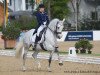 dressage horse Theodoor (KWPN (Royal Dutch Sporthorse), 2000, from Métall)